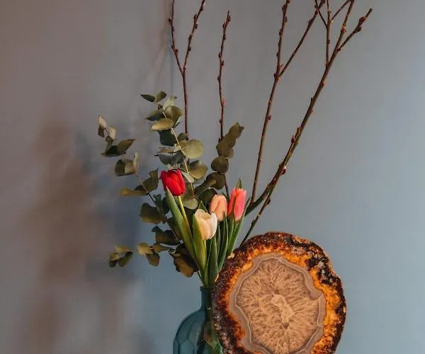 Ml Szálloda Haarlem